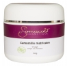 La camomille matricaire